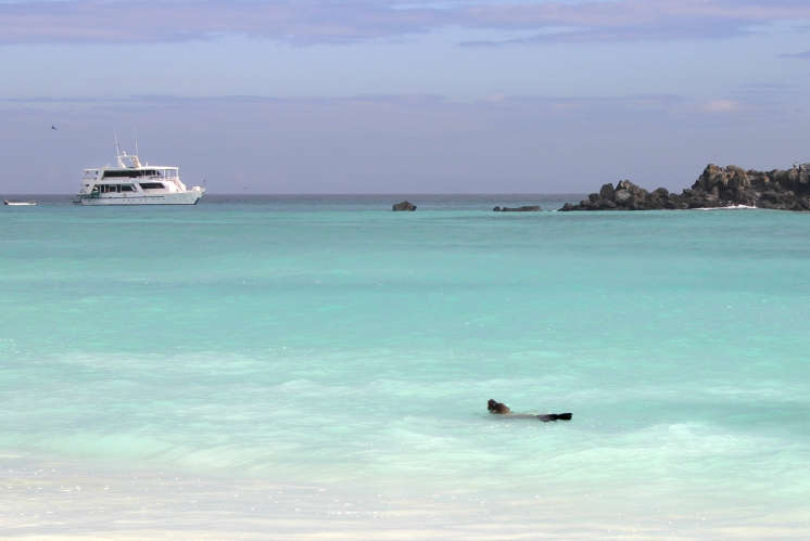 Die Insel Aruba in der Karibik